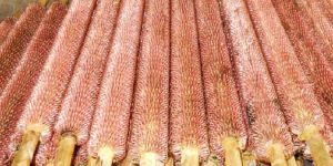 Spiral Wound Finned Tube