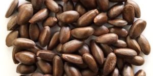 Sugar Apple Fruit Seeds