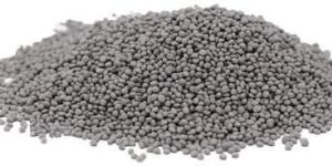 White Clover Grass Seeds