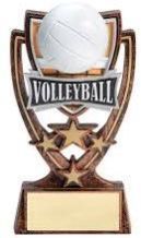 Volleyball Trophy