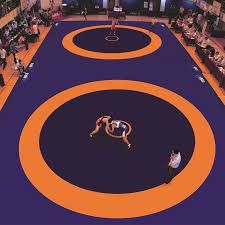 Wrestling Mat