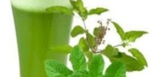 Tulsi Juice