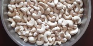 Cashew Nut W240