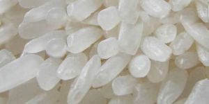 Short Grain Non Basmati Rice