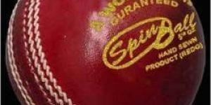 Leather Cricket Spin Ball
