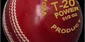Power Leather Cricket Ball