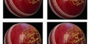 Star of India Red Leather Cricket Ball