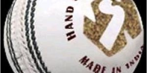 Test White Cricket Ball