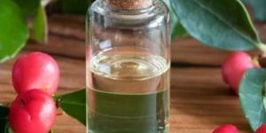 Wintergreen Oil