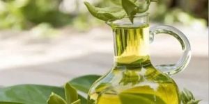 Ylang Ylang Oil