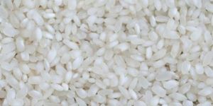 Raw Ponni Rice