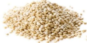 Quinoa Seeds