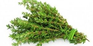 Thyme Herb