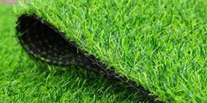 Synthetic Grass Lawn