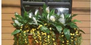 Outdoor Flower Arrangement