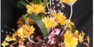 Zerbera Plant Arrangement Bouquet