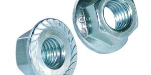 Flange Nuts