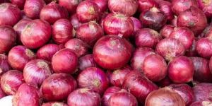 Onions