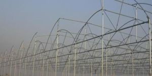 Greenhouse Structure