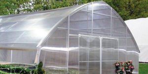 Polycarbonate Greenhouse