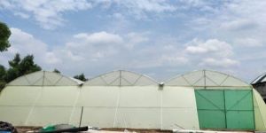 Tunnel Type Polyhouse