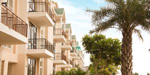 3 BHK Flats in New Chandigarh