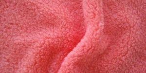 Coral Fleece Fabric