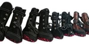 Dog Shoes
