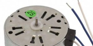 Single Phase AC Synchronous Motor