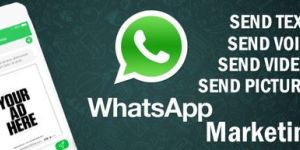 Bulk Whatsapp Services