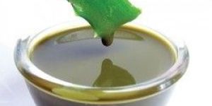 Aloe Vera Formulations