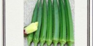 Hybrid Okra Seeds