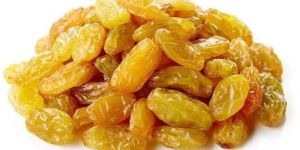 Golden Raisins