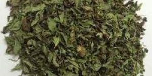 Dehydrated Mint Leaves