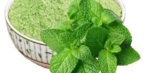 Dehydrated Mint Leaves Powder