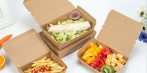 Ecofriendly Disposable Box