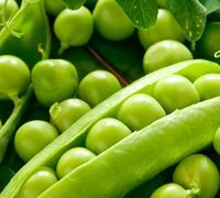 Fresh Green Peas