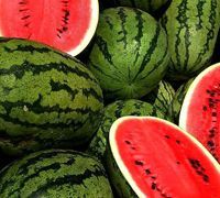 Fresh Watermelon