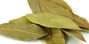 Dried Bay Leaf