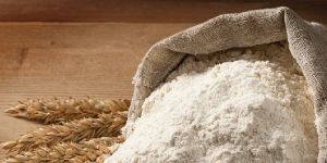 Refined Wheat Flour
