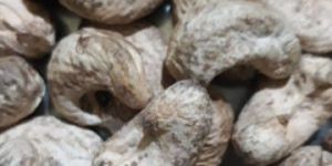 Natural Whole Cashew Nuts