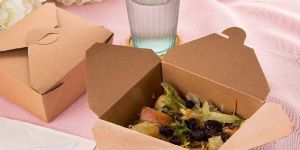 Salad Packaging Box