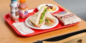 Plastic Fast Food Tray