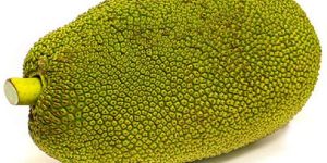 Fresh Jackfruit