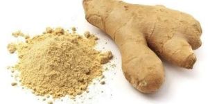 GINGER EXTRACT