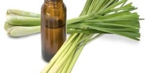 Lemongrass Oil