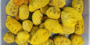 Dry Turmeric Bulb