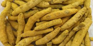Dry Turmeric Finger