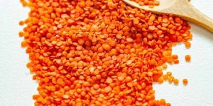 Red Lentils