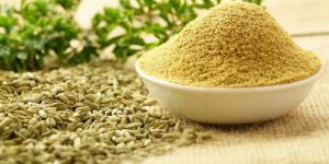 Fennel Powder